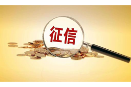 东风为什么选择专业追讨公司来处理您的债务纠纷？